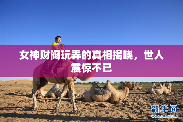 女神财阀玩弄的真相揭晓，世人震惊不已