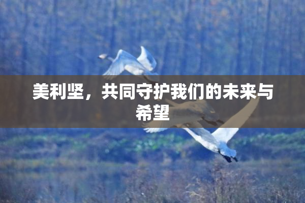 美利坚，共同守护我们的未来与希望