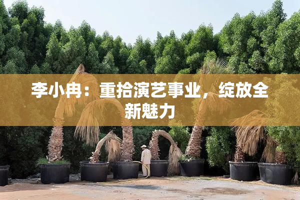 李小冉：重拾演艺事业，绽放全新魅力