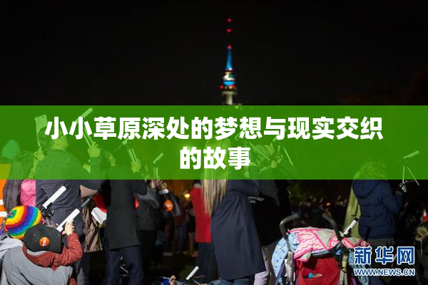 小小草原深处的梦想与现实交织的故事