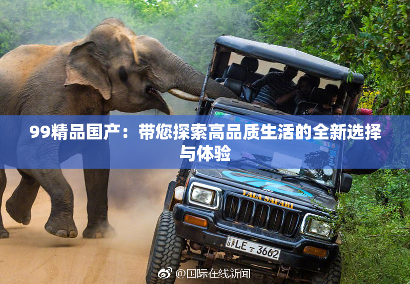 99精品国产：带您探索高品质生活的全新选择与体验