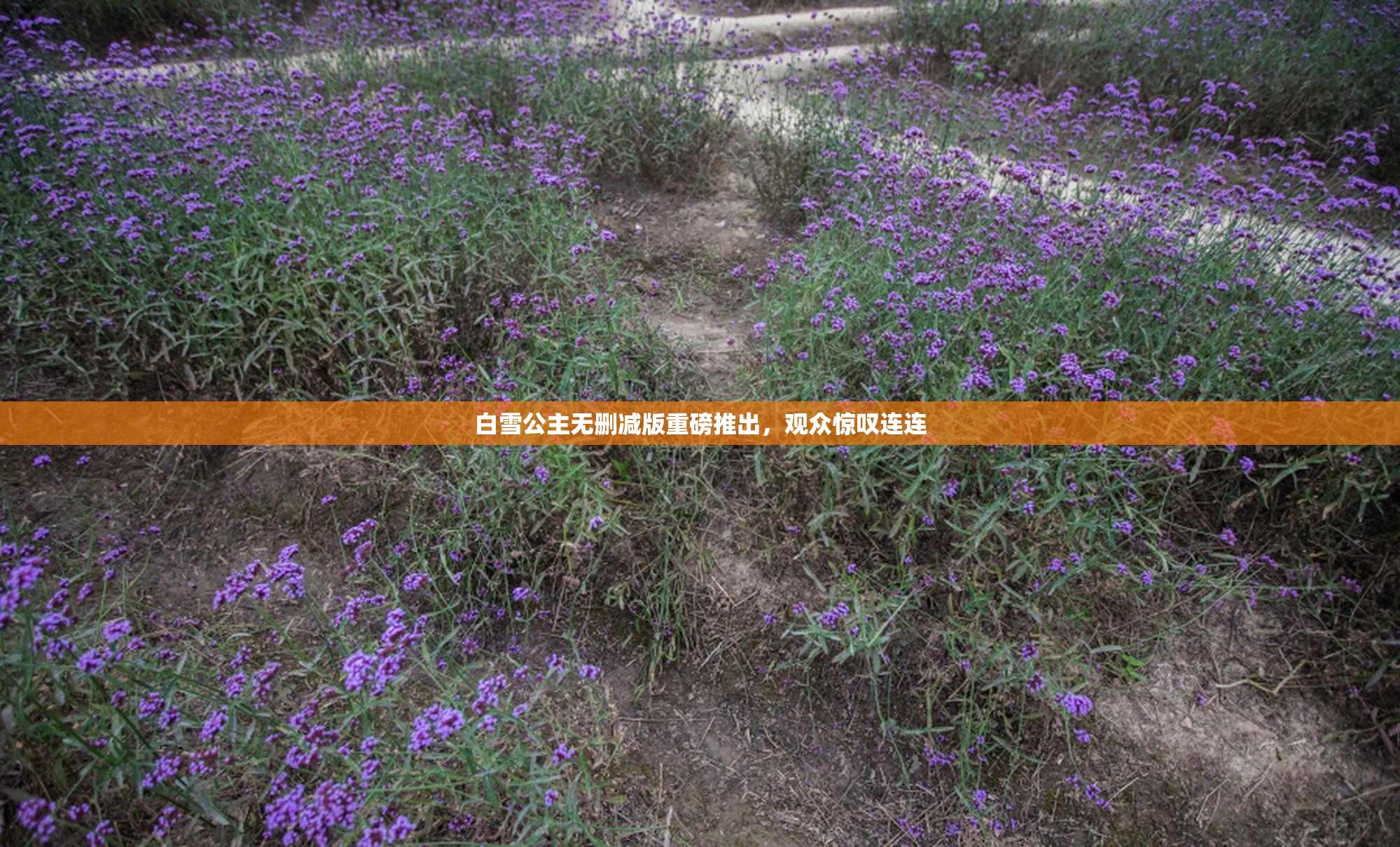 白雪公主无删减版重磅推出，观众惊叹连连