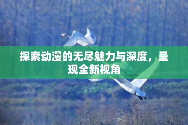 探索动漫的无尽魅力与深度，呈现全新视角