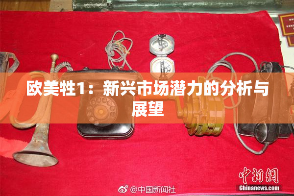 欧美牲1：新兴市场潜力的分析与展望
