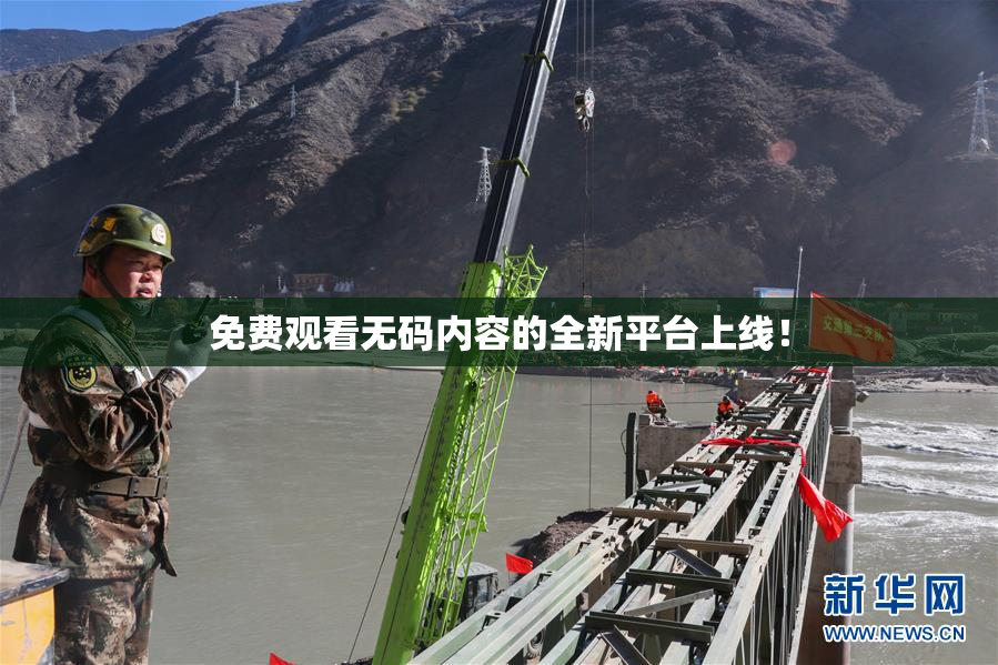 免费观看无码内容的全新平台上线！
