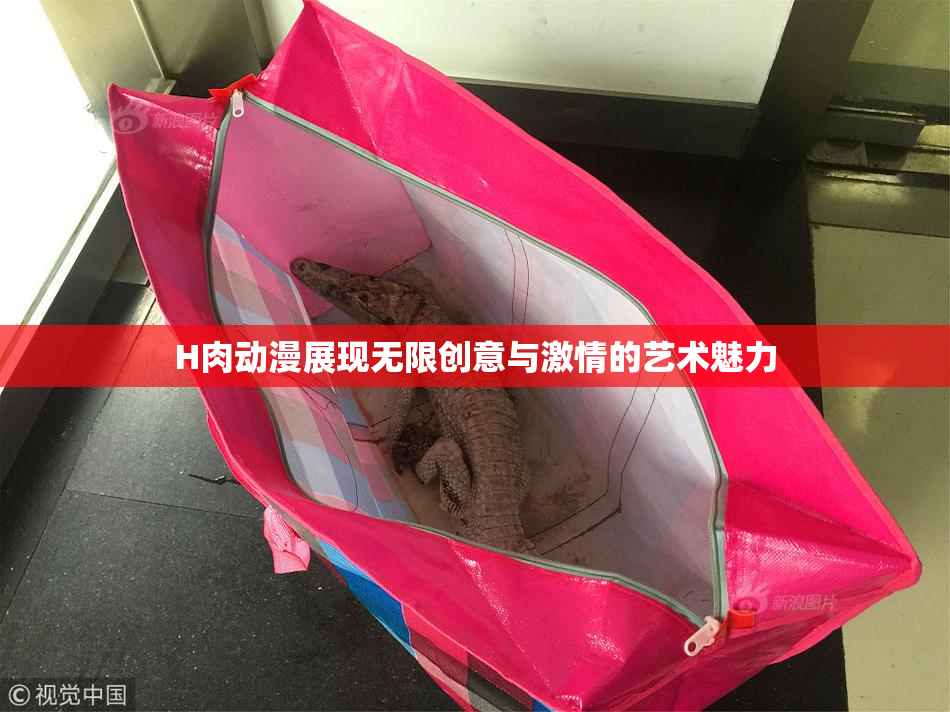H肉动漫展现无限创意与激情的艺术魅力