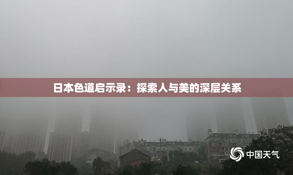 日本色道启示录：探索人与美的深层关系