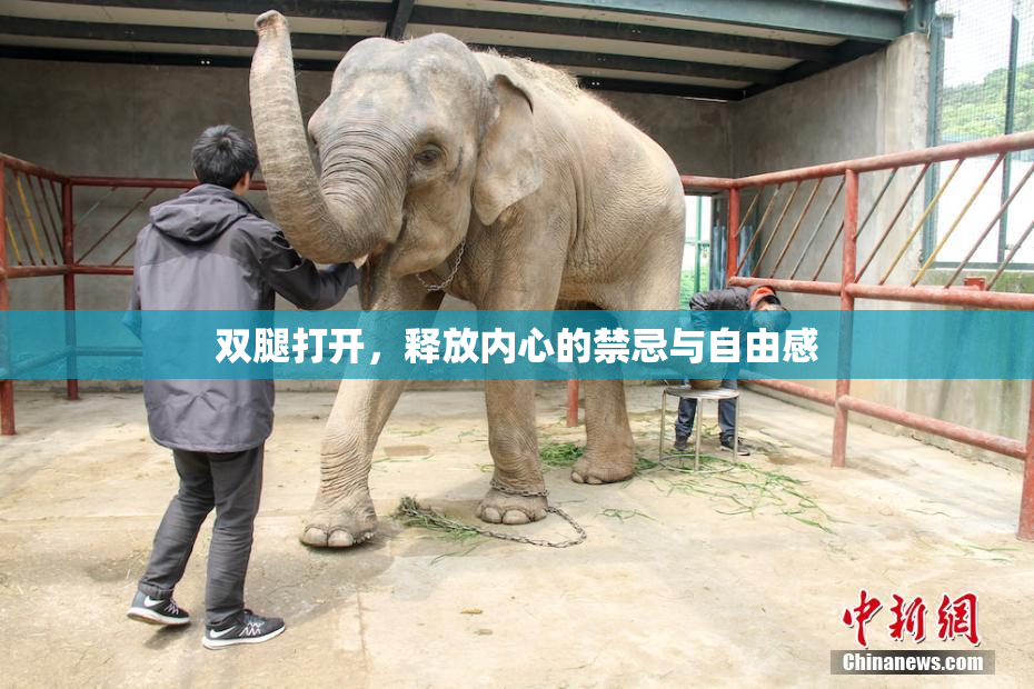 双腿打开，释放内心的禁忌与自由感