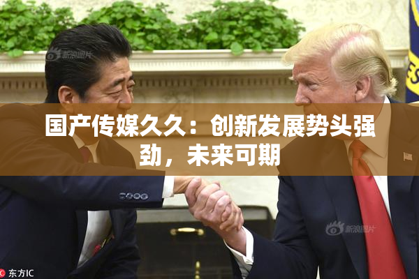 国产传媒久久：创新发展势头强劲，未来可期