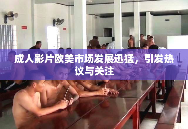 成人影片欧美市场发展迅猛，引发热议与关注