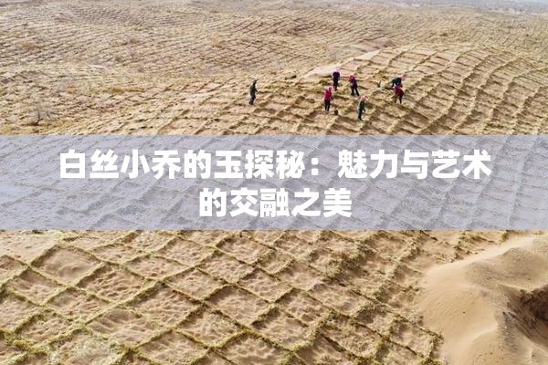 白丝小乔的玉探秘：魅力与艺术的交融之美
