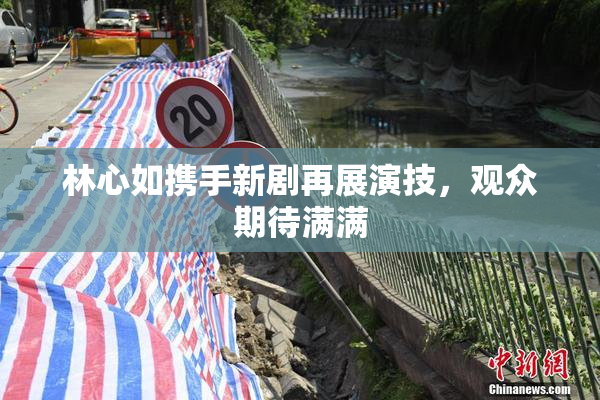 林心如携手新剧再展演技，观众期待满满