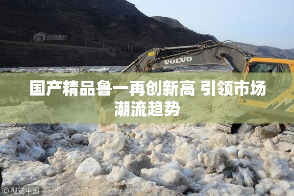 国产精品鲁一再创新高 引领市场潮流趋势