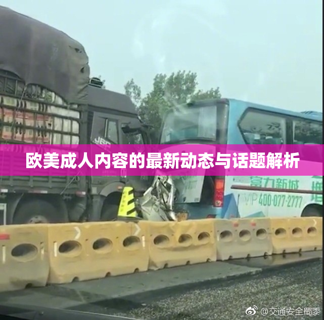 欧美成人内容的最新动态与话题解析