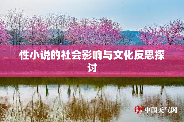 性小说的社会影响与文化反思探讨