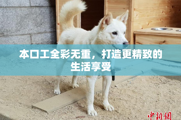 本口工全彩无重，打造更精致的生活享受