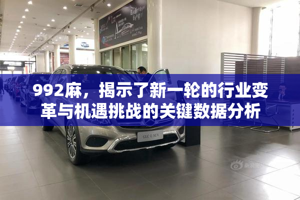 992麻，揭示了新一轮的行业变革与机遇挑战的关键数据分析