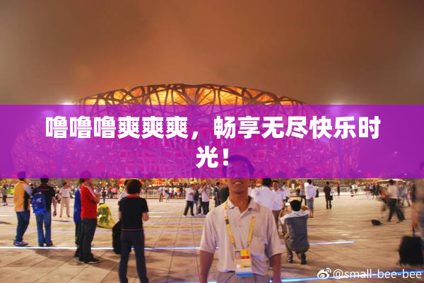 噜噜噜爽爽爽，畅享无尽快乐时光！