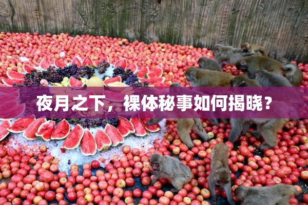夜月之下，裸体秘事如何揭晓？