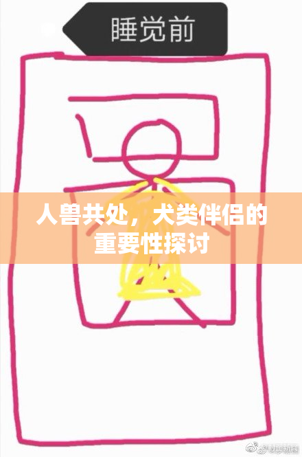 人兽共处，犬类伴侣的重要性探讨