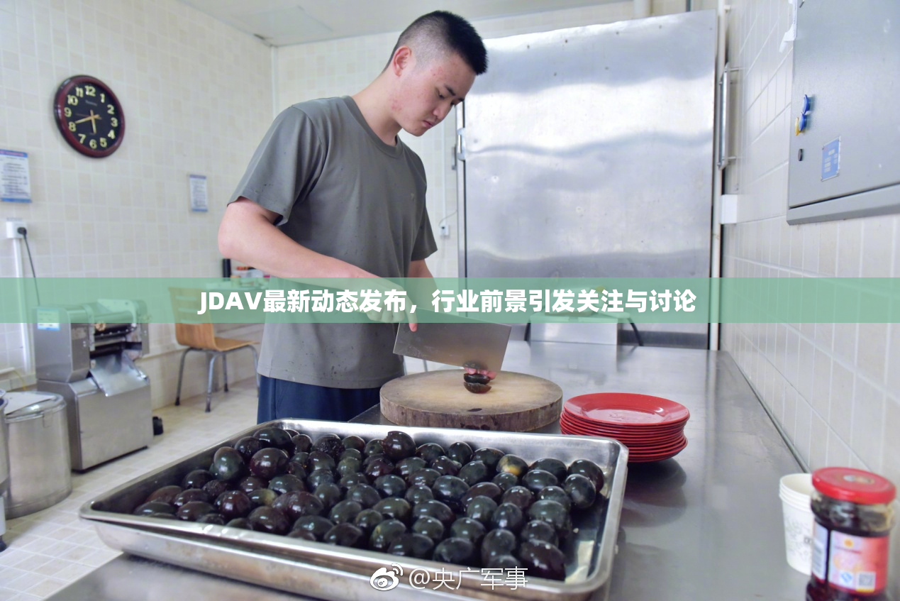 JDAV最新动态发布，行业前景引发关注与讨论