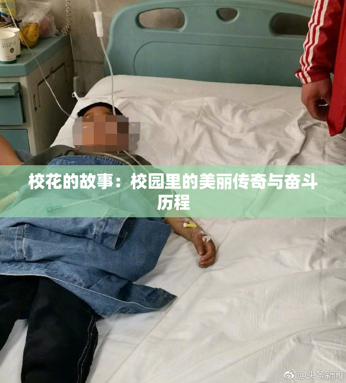 校花的故事：校园里的美丽传奇与奋斗历程