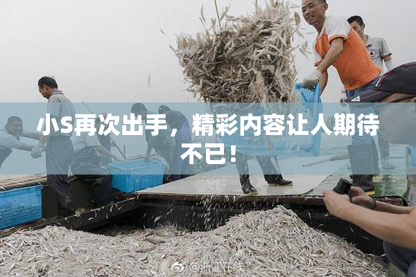 小S再次出手，精彩内容让人期待不已！