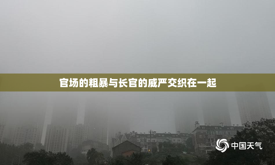 官场的粗暴与长官的威严交织在一起