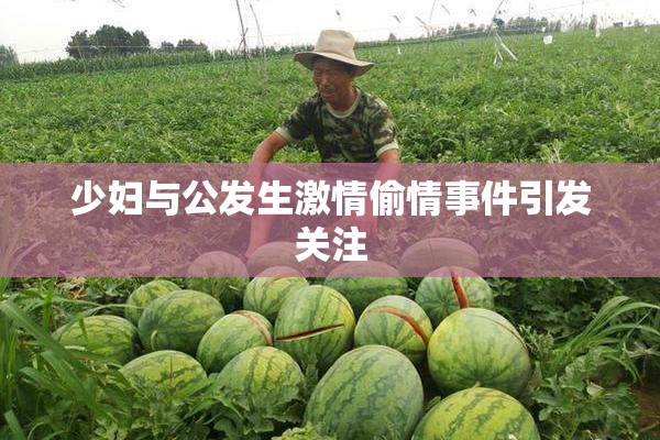 少妇与公发生激情偷情事件引发关注
