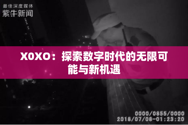 X0XO：探索数字时代的无限可能与新机遇