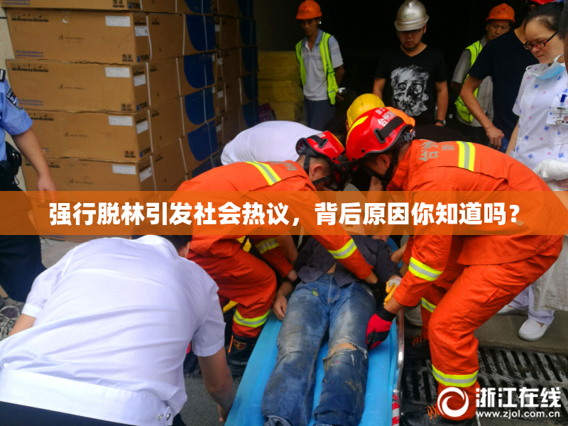 强行脱林引发社会热议，背后原因你知道吗？