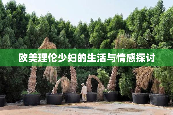 欧美理伦少妇的生活与情感探讨