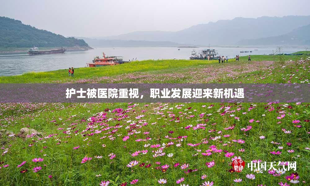 护士被医院重视，职业发展迎来新机遇