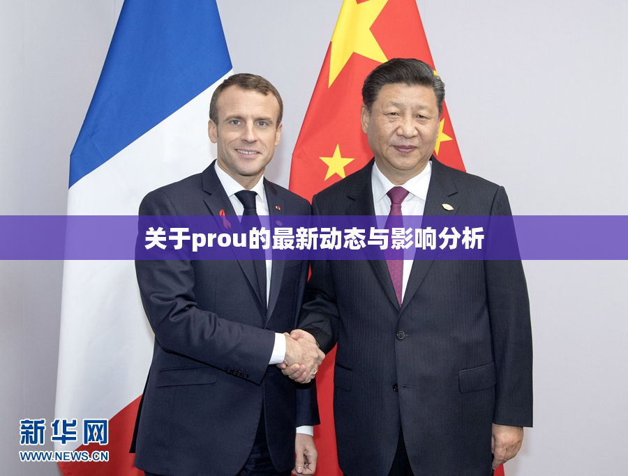 关于prou的最新动态与影响分析