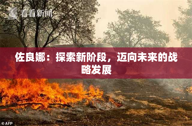 佐良娜：探索新阶段，迈向未来的战略发展