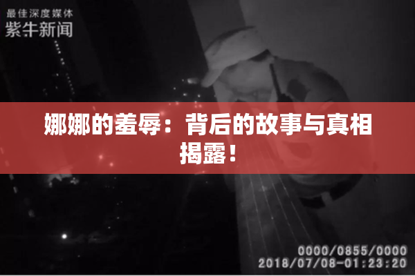 娜娜的羞辱：背后的故事与真相揭露！
