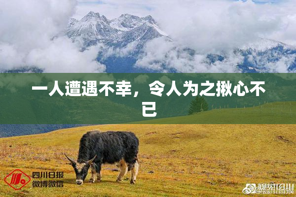 一人遭遇不幸，令人为之揪心不已