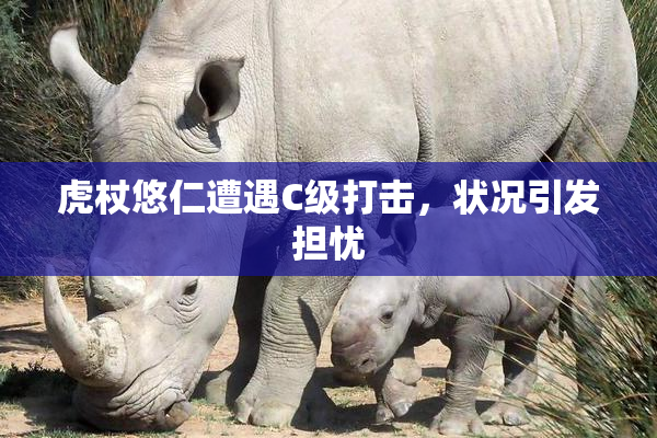 虎杖悠仁遭遇C级打击，状况引发担忧