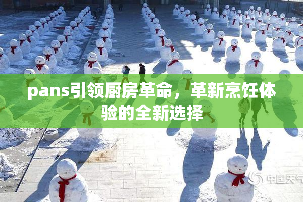 pans引领厨房革命，革新烹饪体验的全新选择