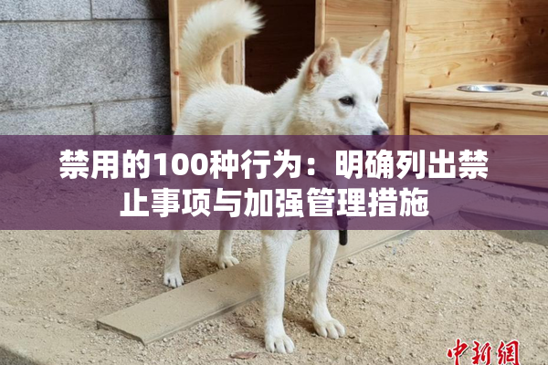 禁用的100种行为：明确列出禁止事项与加强管理措施