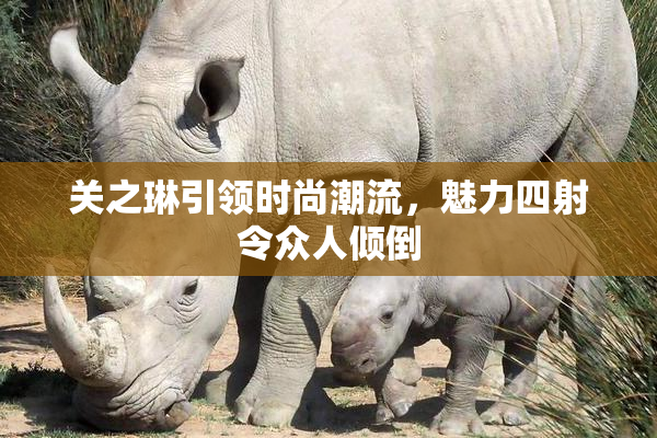 关之琳引领时尚潮流，魅力四射令众人倾倒