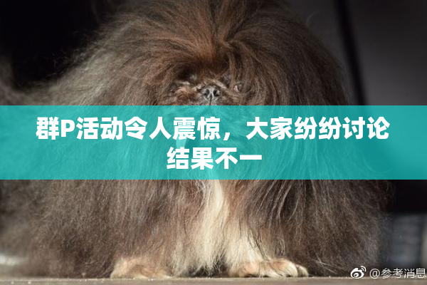 群P活动令人震惊，大家纷纷讨论结果不一