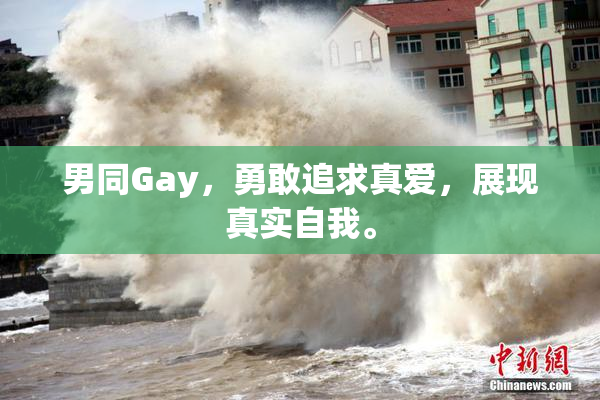 男同Gay，勇敢追求真爱，展现真实自我。