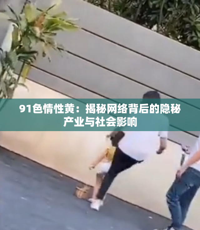 91色情性黄：揭秘网络背后的隐秘产业与社会影响
