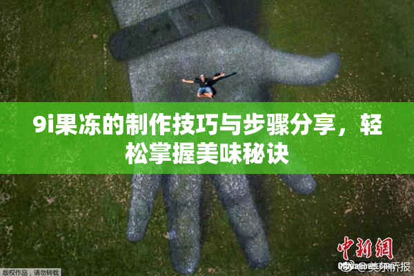 9i果冻的制作技巧与步骤分享，轻松掌握美味秘诀