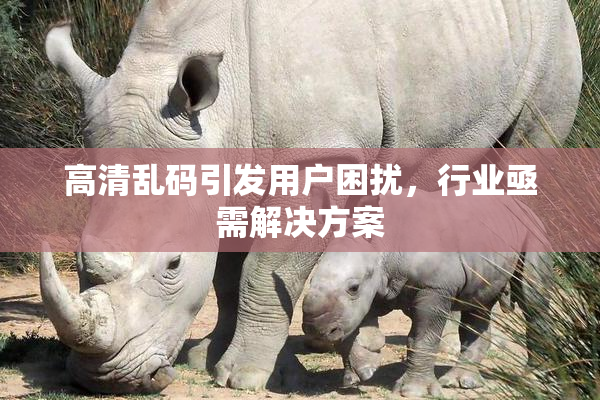 高清乱码引发用户困扰，行业亟需解决方案