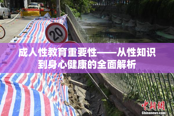 成人性教育重要性——从性知识到身心健康的全面解析