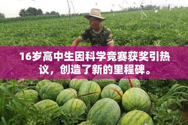 16岁高中生因科学竞赛获奖引热议，创造了新的里程碑。