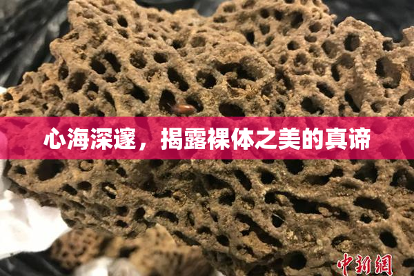 心海深邃，揭露裸体之美的真谛