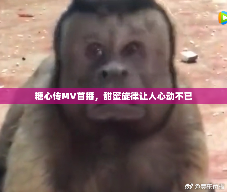 糖心传MV首播，甜蜜旋律让人心动不已